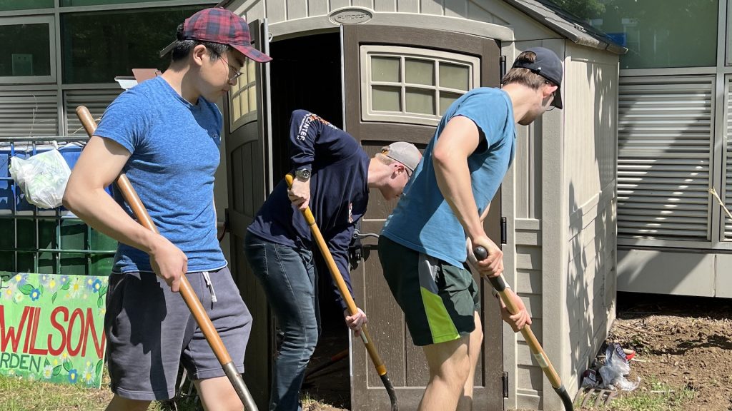Three honors college students holding shovels volunteer in a local garden